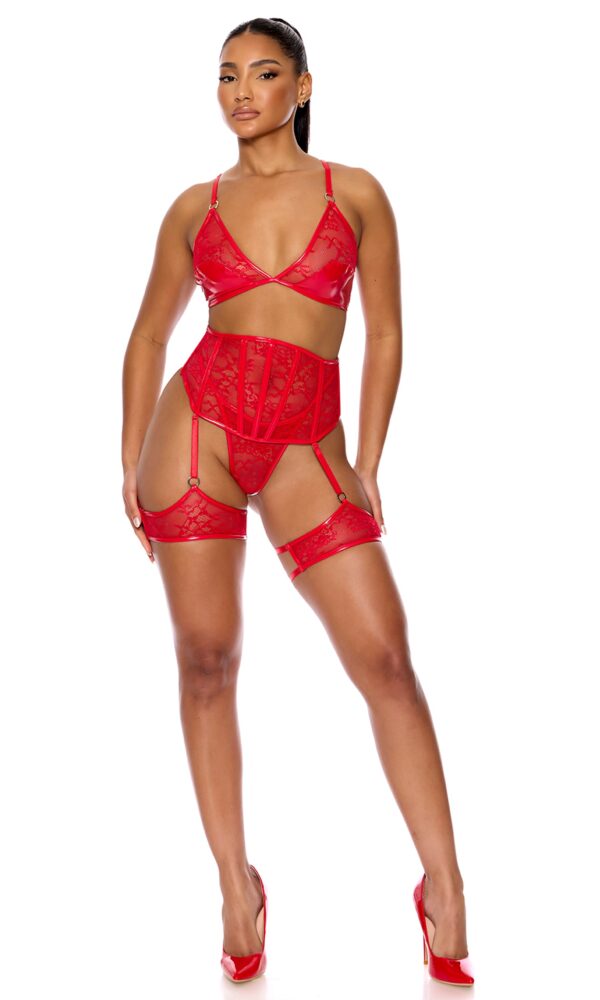 Perfect Pair Vinyl and Lace Bra and Waist Cincher Lingerie Set - Red