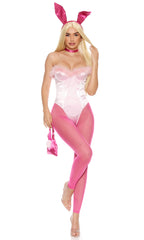 Legal Bunny 5-Piece Women's Sexy Movie Character Costume