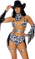 Wild Wild 5-Piece Women's Sexy Cowgirl Costume