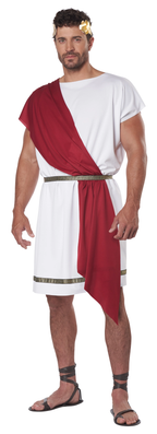 Party Toga